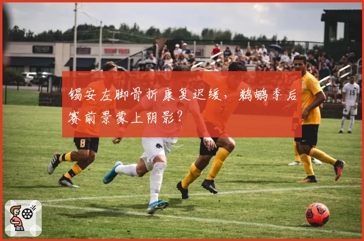 锡安左脚骨折康复迟缓,鹈鹕季后赛前景蒙上阴影?